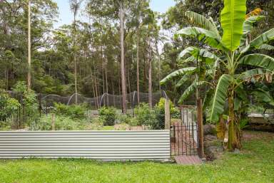 Farm For Sale - QLD - Cootharaba - 4565 - Rainforest Retreat in the Noosa Hinterland  (Image 2)