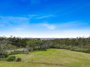 Farm For Sale - TAS - Four Mile Creek - 7215 - Rural Delight Close To The Coast  (Image 2)