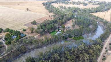 Farm Auction - VIC - Barmah - 3639 - Rustic Rural Living  (Image 2)