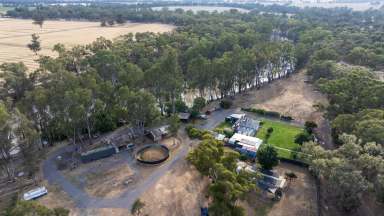 Farm Auction - VIC - Barmah - 3639 - Rustic Rural Living  (Image 2)