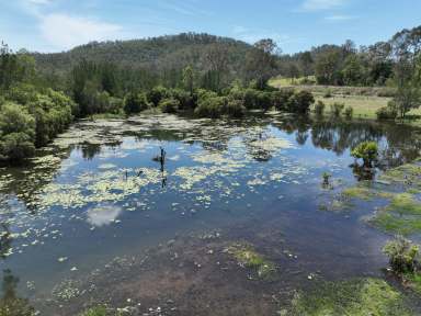 Farm For Sale - QLD - Lake Manchester - 4306 - Build your Dream Home - Irrigation License & Water Views - 45min to BNE CBD  (Image 2)