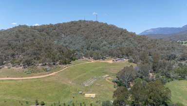 Farm For Sale - VIC - Myrtleford - 3737 - 44 Acres with Planning Permit  (Image 2)