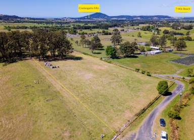 Farm For Sale - NSW - Berry - 2535 - Location Location Location  (Image 2)