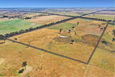 Farm For Sale - VIC - Lindenow South - 3875 - 98 Acre Country Lifestyle, Off the Grid, 20 minutes from town.  (Image 2)