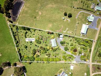 Farm For Sale - TAS - Meander - 7304 - Your Own Private Oasis  (Image 2)