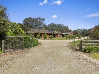 Farm For Sale - NSW - Tocumwal - 2714 - 5.3-Acre Lifestyle Property Just Minutes from Tocumwal Town Centre!  (Image 2)