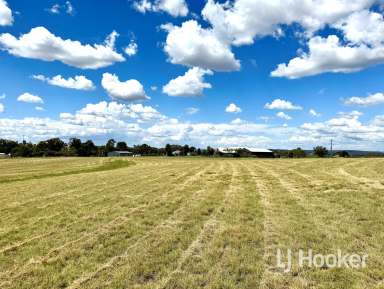 Farm For Sale - NSW - Inverell - 2360 - 1 Hectare Block approx. 6 minute drive from CBD  (Image 2)