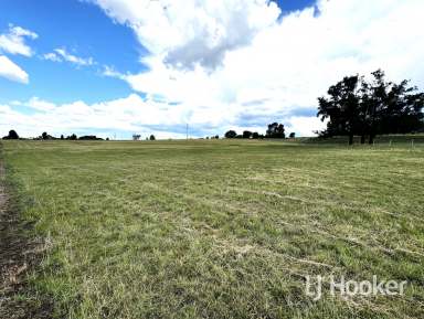 Farm For Sale - NSW - Inverell - 2360 - 1 Hectare Block approx. 6 minute drive from CBD  (Image 2)