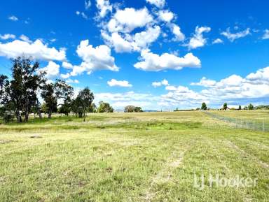 Farm For Sale - NSW - Inverell - 2360 - 1 Hectare Block approx 6 minute drive from CBD  (Image 2)