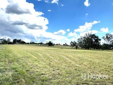 Farm For Sale - NSW - Inverell - 2360 - 1 Hectare Block approx 6 minute drive from CBD  (Image 2)