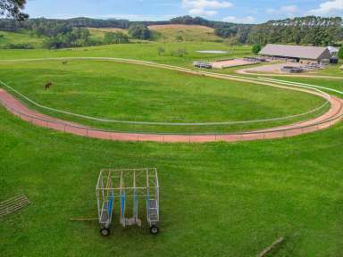 Farm Auction - NSW - Tallong - 2579 - Exceptional 68-Acre Equestrian Estate Offering Unparalleled Privacy and Versatility  (Image 2)