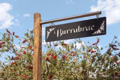 Farm For Sale - NSW - Mudgee - 2850 - 'BURRABRAE'  (Image 2)