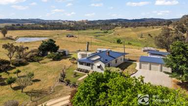 Farm For Sale - NSW - Mudgee - 2850 - 'BURRABRAE'  (Image 2)