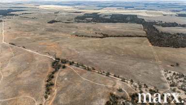 Farm For Sale - SA - Brownlow - 5374 - CAMP AND ENJOY  (Image 2)