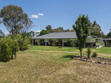 Farm For Sale - VIC - Benalla - 3672 - Versatile 34 acre property with 4 Bedroom Homestead  (Image 2)