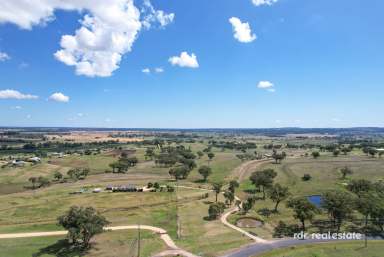 Farm For Sale - NSW - Inverell - 2360 - SERENITY & SPACE AWAIT  (Image 2)