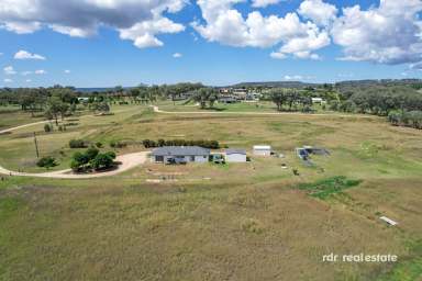 Farm For Sale - NSW - Inverell - 2360 - SERENITY & SPACE AWAIT  (Image 2)