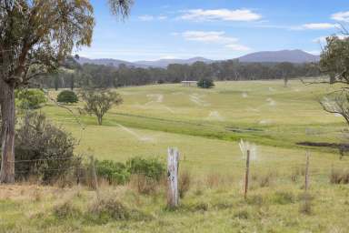 Farm For Sale - VIC - Glenaladale - 3864 - Water, livestock and history at Cambooya  (Image 2)