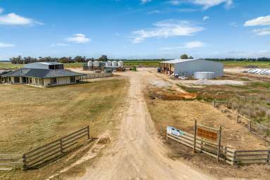 Farm For Sale - VIC - Girgarre - 3624 - Three Premium Dairy Farm Opportunities
Expressions of Interest Closing 29th November @2.00pm 
574.19 hectares (1418.4 acres)  (Image 2)