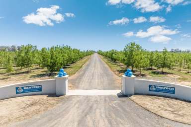 Farm For Sale - VIC - Bunbartha - 3634 - Imatech Tree Nursery
Part of the Imatech Group
Total Area: 129.48 hectares I 320 acres  (Image 2)