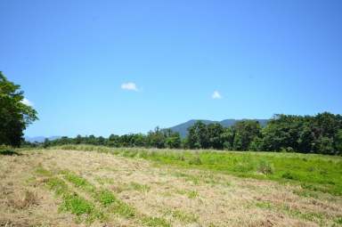 Farm For Sale - QLD - East Russell - 4861 - 78 Acres - 2 Titles - River Frontage  (Image 2)