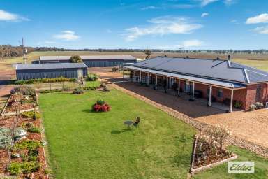 Farm For Sale - VIC - Kamarooka - 3570 - Exceptional Infrastructure and Immaculate Home – 35 Ac for Farming or Business  (Image 2)