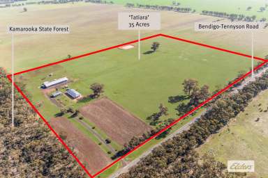 Farm For Sale - VIC - Kamarooka - 3570 - Exceptional Infrastructure and Immaculate Home – 35 Ac for Farming or Business  (Image 2)