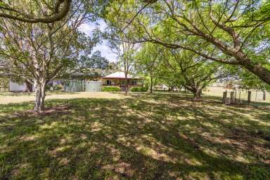 Farm For Sale - QLD - Southbrook - 4363 - Don't Miss This Gem - Small Lifestyle with Road Train Access  (Image 2)