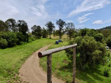 Farm For Sale - NSW - Old Grevillia - 2474 - Rural Retreat  (Image 2)