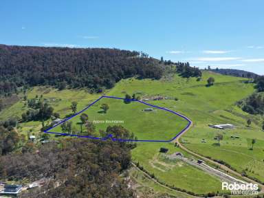 Farm For Sale - TAS - Lachlan - 7140 - Make this your dream home!  (Image 2)