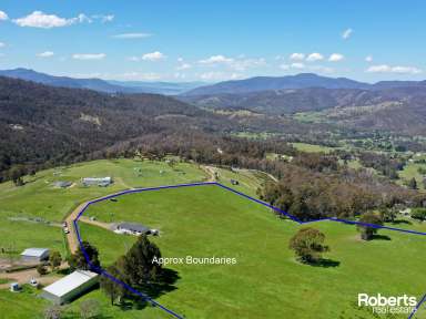 Farm For Sale - TAS - Lachlan - 7140 - Make this your dream home!  (Image 2)