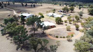 Farm For Sale - NSW - Minore - 2830 - 1300 Acres On Dubbo's Doorstep!  (Image 2)