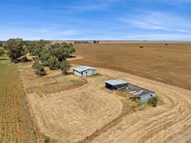 Farm For Sale - VIC - Mitiamo - 3573 - 430 Acres Mitiamo District  (Image 2)