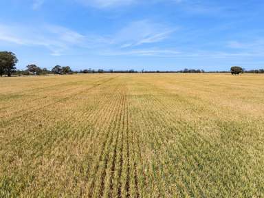 Farm For Sale - VIC - Fairy Dell - 3561 - Rare and Exciting Opportunity  (Image 2)