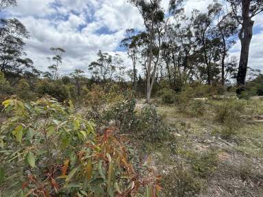 Farm For Sale - NSW - Willow Vale - 2575 - "Build Your Dream Home in Scenic Willow Vale: Prime Land for Sale!"  (Image 2)