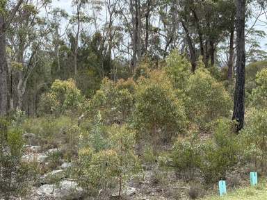 Farm For Sale - NSW - Willow Vale - 2575 - "Build Your Dream Home in Scenic Willow Vale: Prime Land for Sale!"  (Image 2)