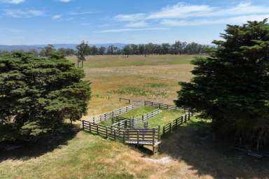 Farm For Sale - VIC - Yarram - 3971 - Prime 100 Acre Rural Opportunity  (Image 2)