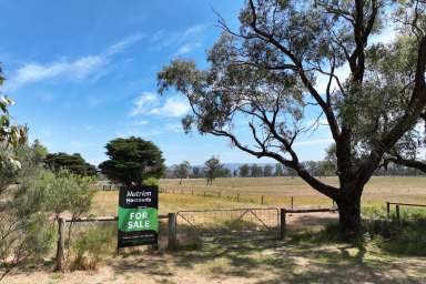 Farm For Sale - VIC - Yarram - 3971 - Prime 100 Acre Rural Opportunity  (Image 2)