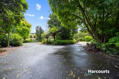 Farm For Sale - VIC - Leongatha - 3953 - Private and Peaceful!  (Image 2)