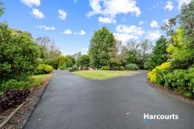 Farm For Sale - VIC - Leongatha - 3953 - Private and Peaceful!  (Image 2)