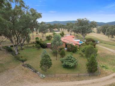 Farm Sold - NSW - Quirindi - 2343 - Welcome to "LYNDONDALE" - 39 acres* with 4 bedroom home  (Image 2)