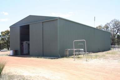 Farm For Sale - WA - Chittering - 6084 - Withnell Stockyards  (Image 2)