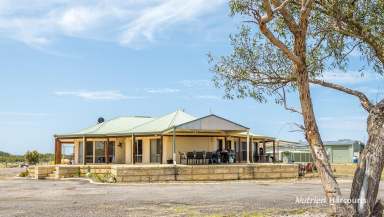 Farm For Sale - WA - Gingin - 6503 - Rare Find! Large Lifestyle Property Gingin South West!  (Image 2)