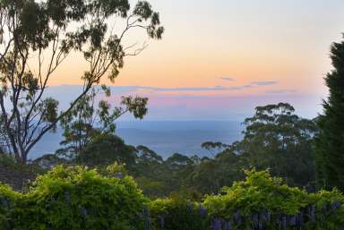 Farm For Sale - QLD - Tamborine Mountain - 4272 - Private Mountain Retreat with Stunning Sunset Views  (Image 2)