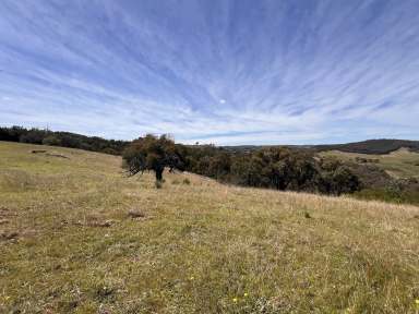 Farm For Sale - NSW - Taylors Flat - 2586 - ON TOP OF THE WORLD, 340 COUNTRY ACRES, MAGICAL VIEWS, MIX OF CLEAR & BUSH, CREEK, DAMS, SHED, TRANQUIL SETTING.  (Image 2)