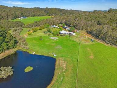 Farm For Sale - WA - Scotsdale - 6333 - Birdsong Beauty  (Image 2)