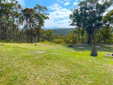 Farm For Sale - NSW - Putty - 2330 - Tyagarah - A Unique Bushland Retreat  (Image 2)