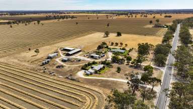 Farm For Sale - SA - Bordertown - 5268 - Two Family Homes on 25 Acres!!  (Image 2)