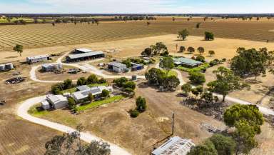 Farm For Sale - SA - Bordertown - 5268 - Two Family Homes on 25 Acres!!  (Image 2)