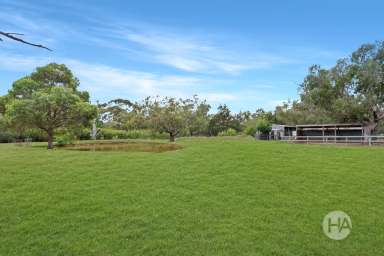 Farm For Sale - VIC - Cranbourne South - 3977 - The Perfect Package For Country Life  (Image 2)